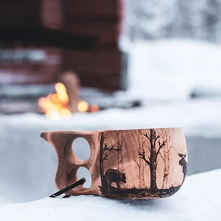 公寓 Poenttoelae By In Lapland 库萨莫